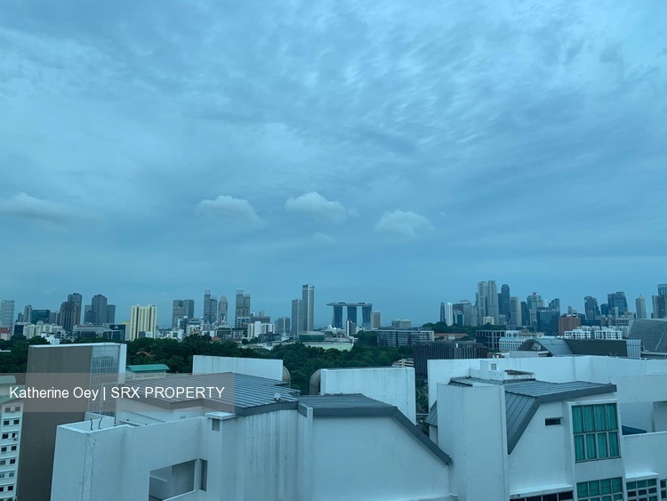 Cairnhill Crest (D9), Condominium #205427161